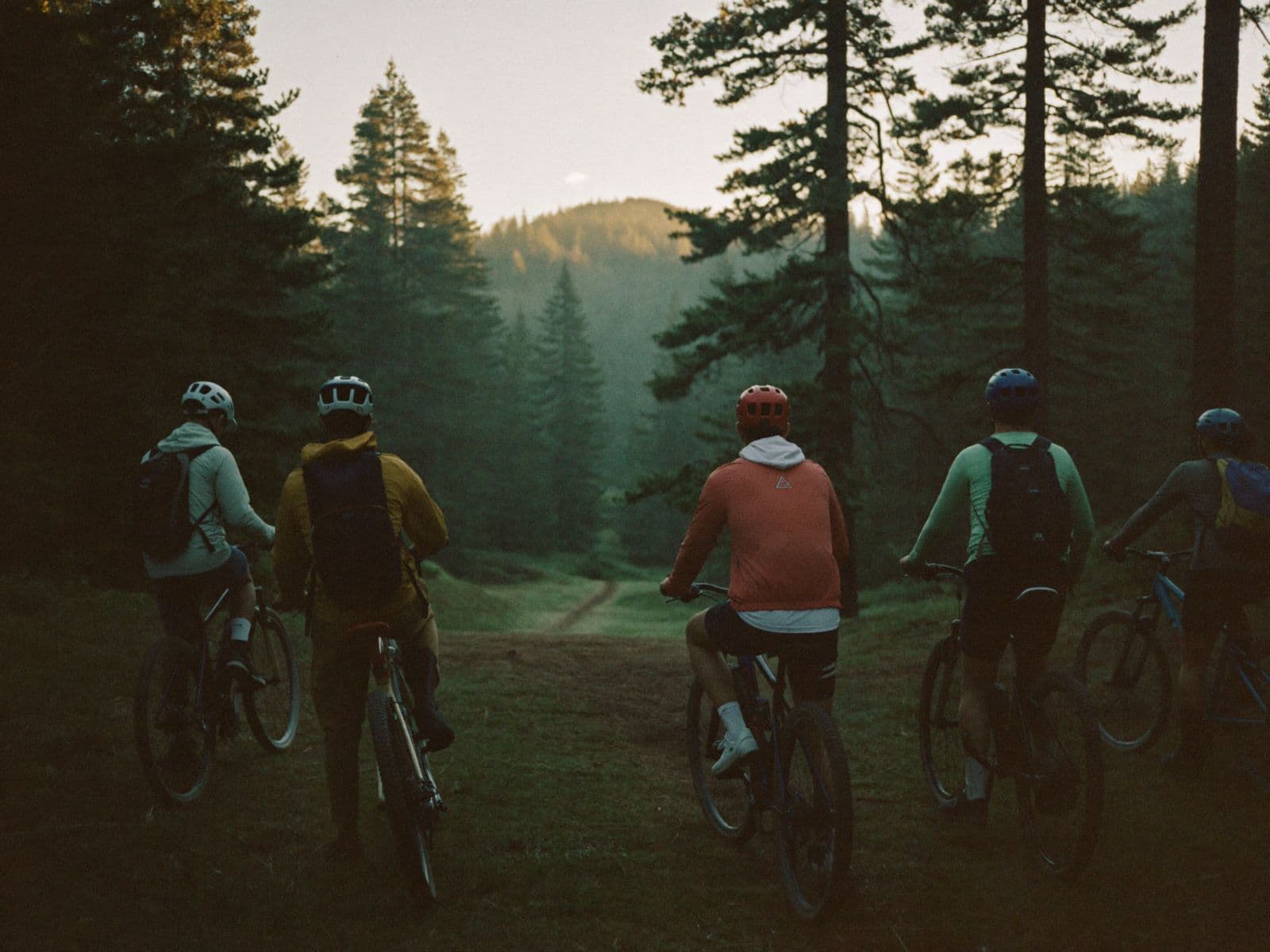 Mountain-bike group pausing at a forest trailhead
